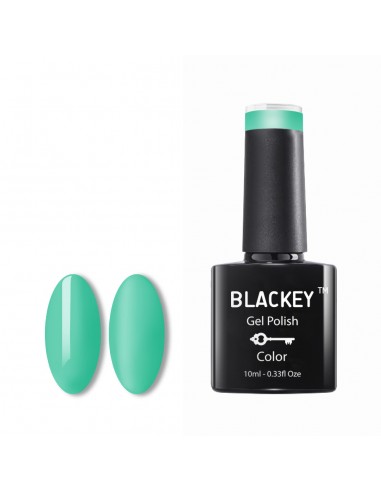 Blackey | A84 Ice mint  (10ml)