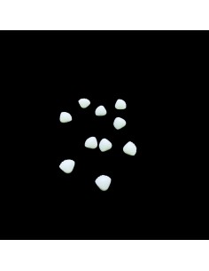 SHL-10 | 10 Τεμ Κοχυλάκια πλαστικά άσπρα | Διακοσμητικά...