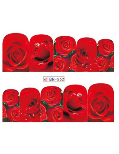 BN-562 | Τατουάζ νερού, κόκκινα...