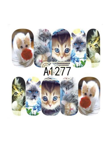 A1277 | Τατουάζ νερού, μικρά γατάκια...