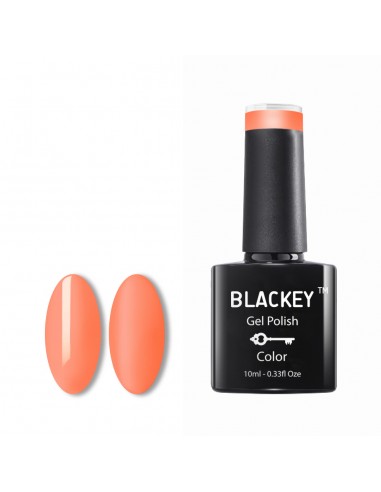 Blackey | B243 Tropicana  (10ml)
