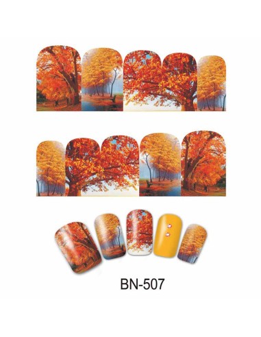 BN-507 | Τατουάζ νερού, φθινοπωρινή...