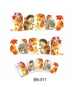 BN-511 | Τατουάζ νερού, φθινοπωρινή φύση και...