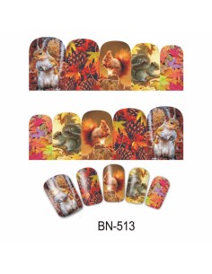 BN-513 | Τατουάζ νερού, φθινοπωρινή φύση και σκίουροι |...