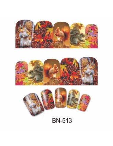 BN-513 | Τατουάζ νερού, φθινοπωρινή...