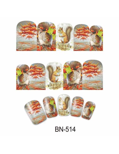 BN-514 | Τατουάζ νερού, φθινοπωρινή...