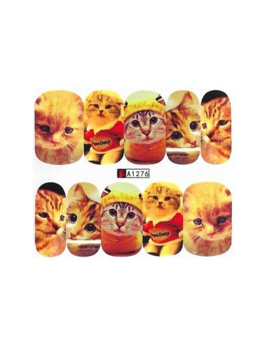 A1276 | Τατουάζ νερού, μικρά γατάκια...